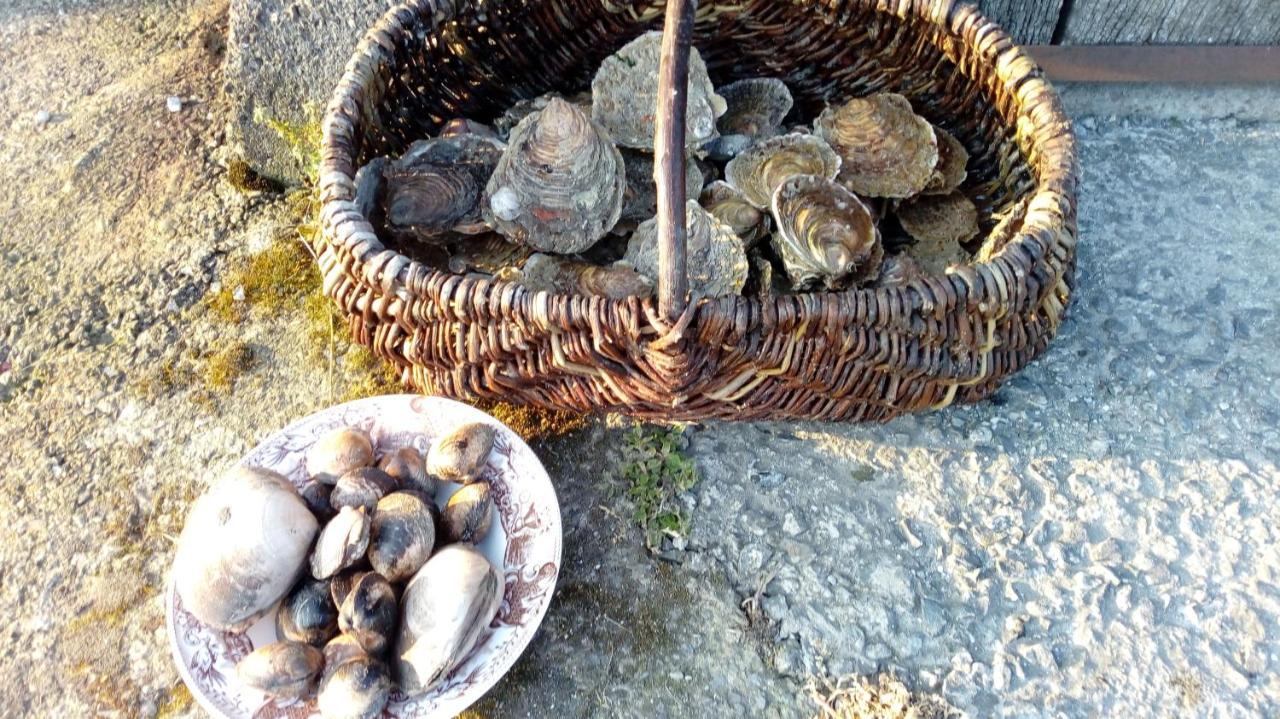 Chez Maria Βίλα Cherrueix Εξωτερικό φωτογραφία